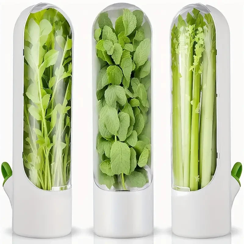 Vegetables Fresh Preservation Container for Fridge - Keeps Bottled Greens Fresh for 2-3 Weeks - Kitchen Storage Solution