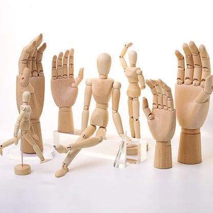 Wooden Hands Model 7/10/12 Inch Male/Female/Child Left/Right Hand Drawing Model Movable Joint Art Painting Sketch Handcrafts