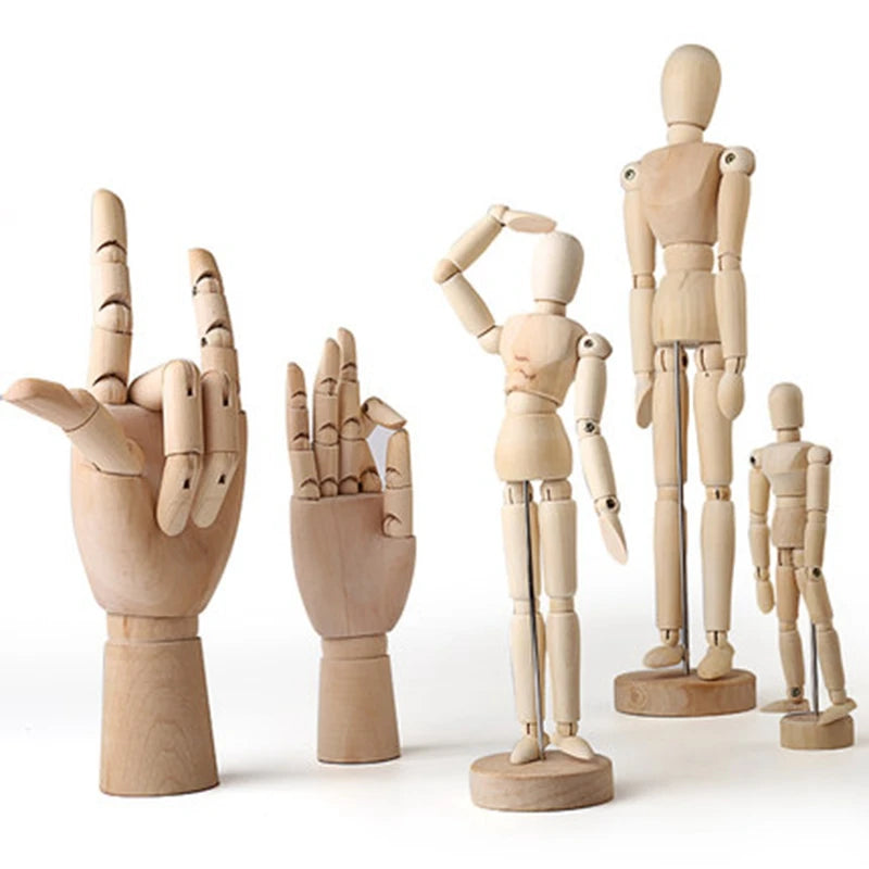 Wooden Hands Model 7/10/12 Inch Male/Female/Child Left/Right Hand Drawing Model Movable Joint Art Painting Sketch Handcrafts