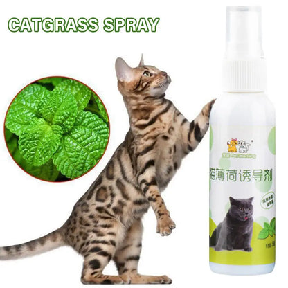 50ml Natural Healthy Cat Catnip Spray Safe Long-term Supplies Spray Training Soothe Mood Inducer Scratching Effect Pad Pet R7Y7