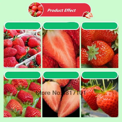 30g Strawberry Expanded Special Fertilizer Supplemental Plant Nutrition Improve quality & increase yield For Home Garden
