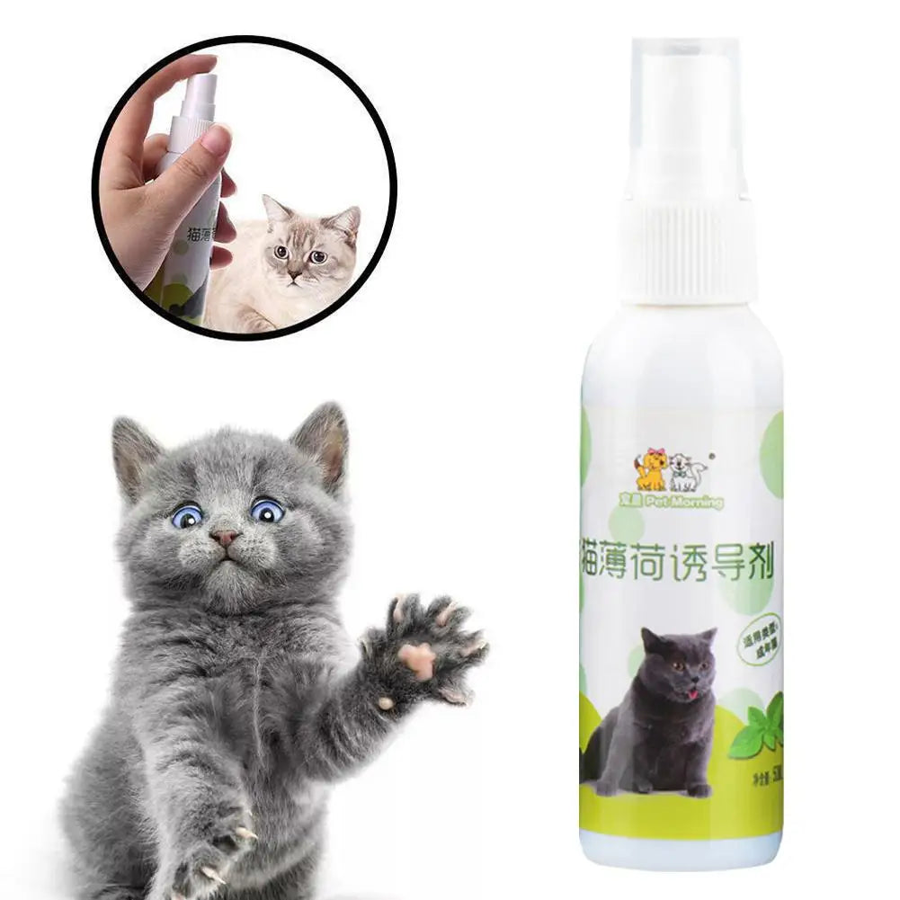50ml Natural Healthy Cat Catnip Spray Safe Long-term Supplies Spray Training Soothe Mood Inducer Scratching Effect Pad Pet R7Y7