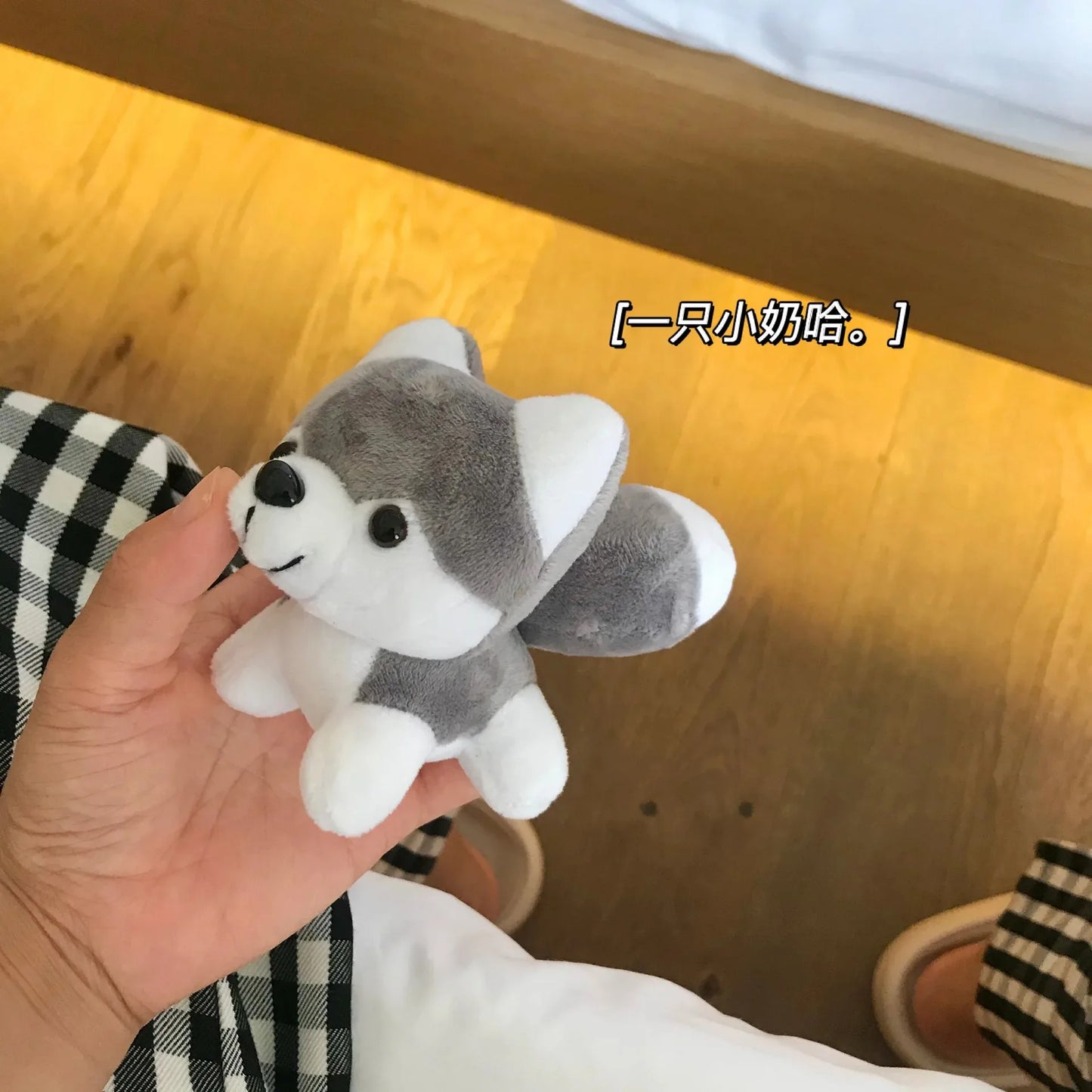 10CM Kawaii Puppy Stuffed Plush Toys Cute Simulation Husky Dog Mini Teddy Dog Plush Husky Dolls Bag Pendant Keychain Kids Gifts