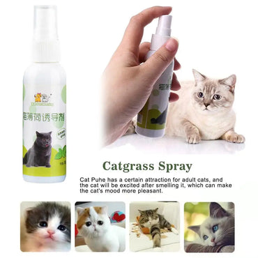 50ml Natural Healthy Cat Catnip Spray Safe Long-term Supplies Spray Training Soothe Mood Inducer Scratching Effect Pad Pet R7Y7