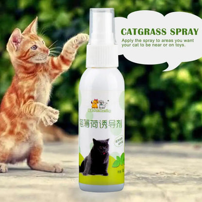 50ml Natural Healthy Cat Catnip Spray Safe Long-term Supplies Spray Training Soothe Mood Inducer Scratching Effect Pad Pet R7Y7